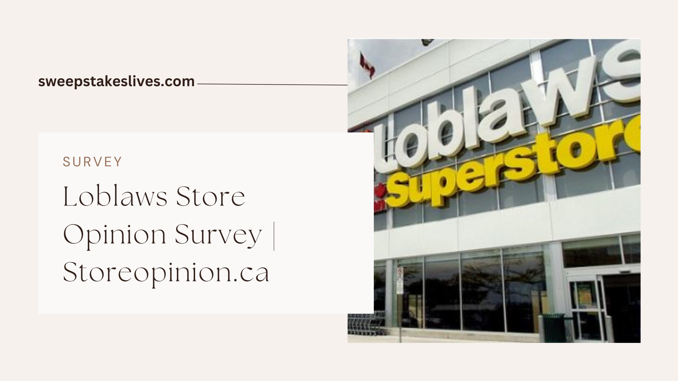 Loblaws Store Opinion Survey