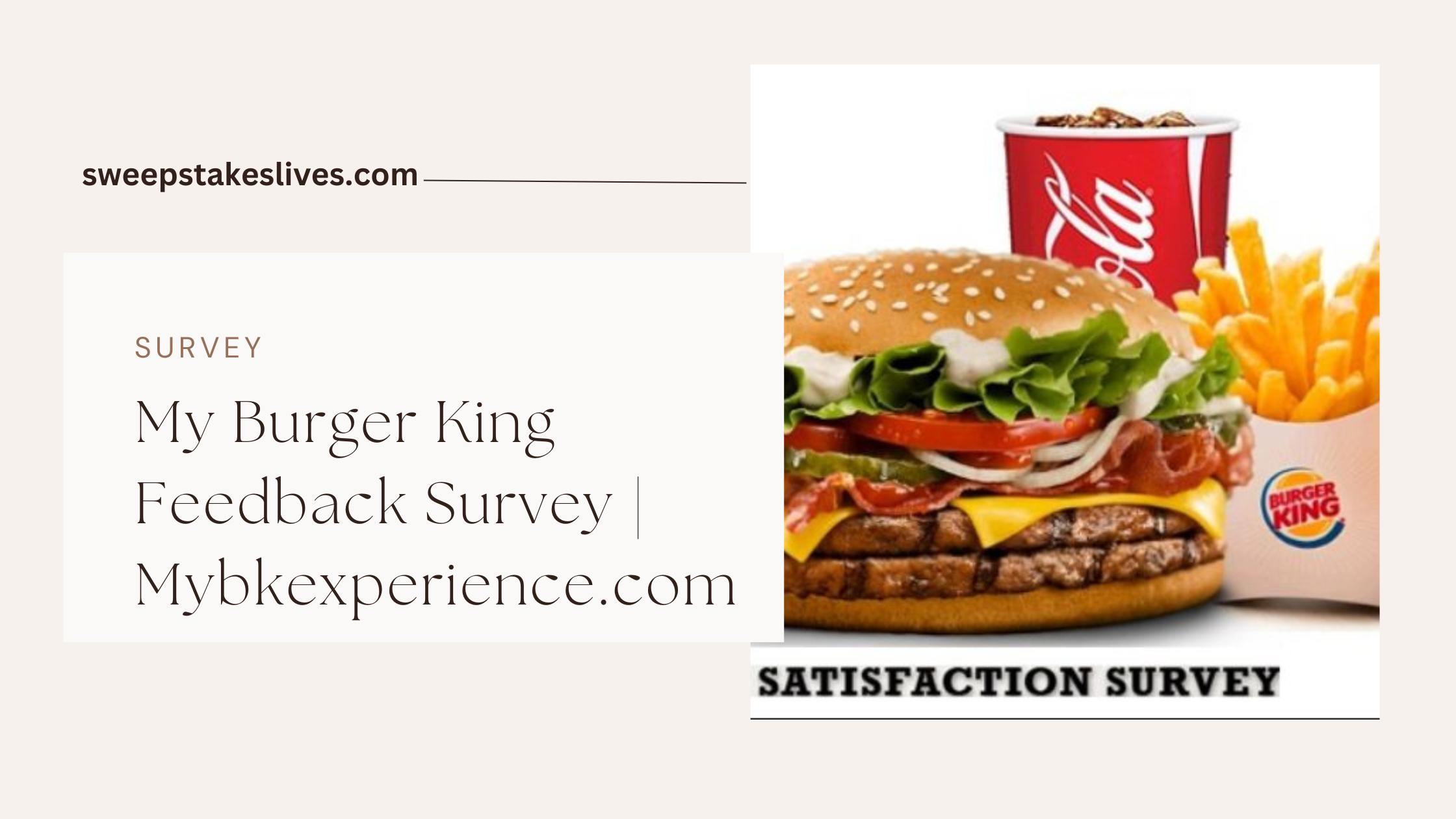 My Burger King Feedback Survey
