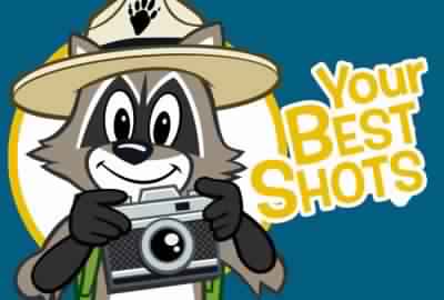 Ranger Rick Photo Contest