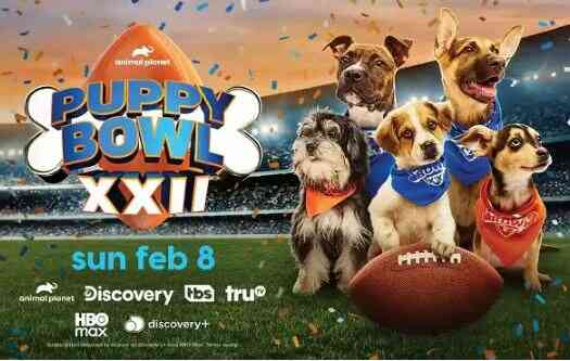Valpak Puppy Bowl Sweepstakes