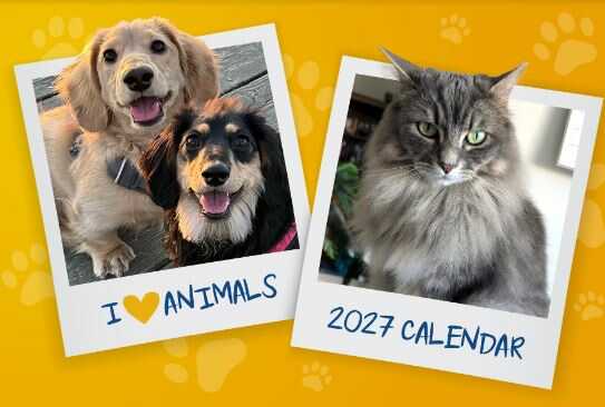 BC SPCA Calendar Contest