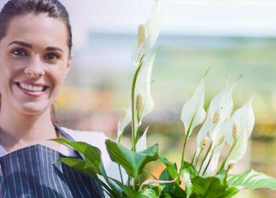 Galaxy Grant Giveaway